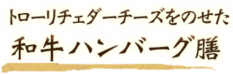 トローリチェダーチーズをのせた和牛ハンバーグ膳